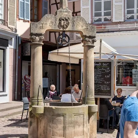 Sous Les Tilleuls Parking Hypercentre 4-6 Personnes * كولمار